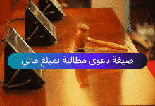 نموذج دعوى مطالبة بمبلغ مالي