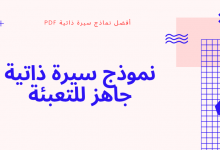 نموذج سيرة ذاتية جاهز للتعبئة pdf مجاني وقابل للتعديل 5 نموذج سيرة ذاتية جاهز للتعبئة