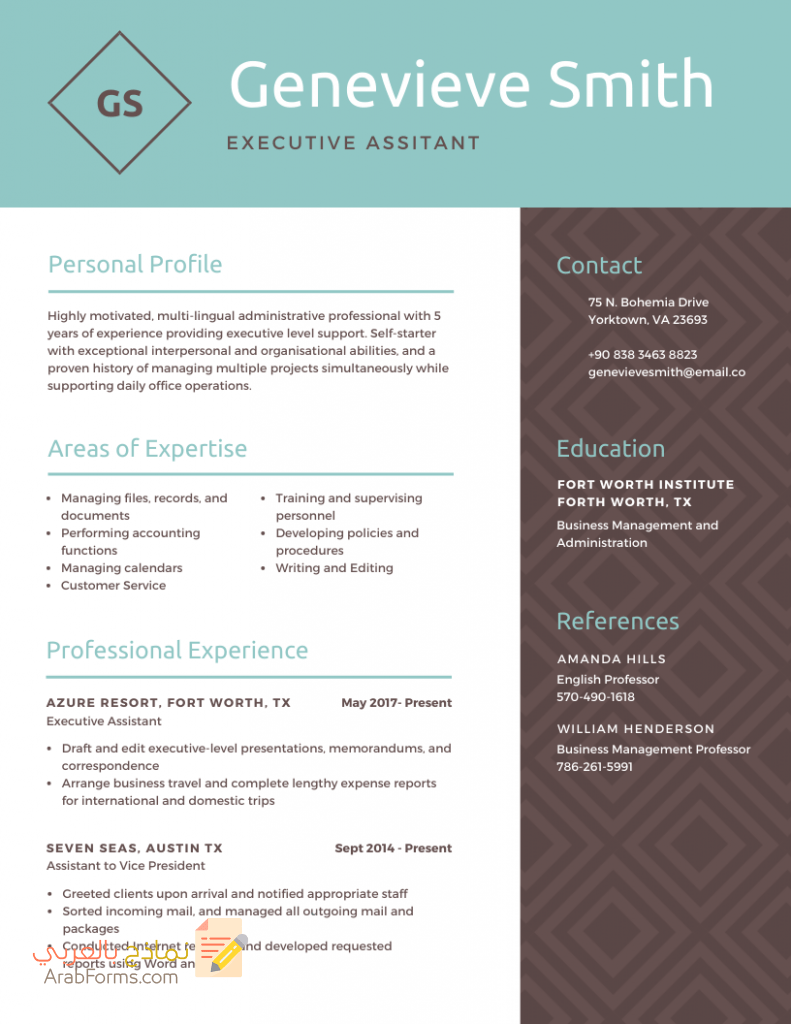 أجمل نماذج سير ذاتية احترافية لعام 2021 4 نموذج سيرة ذاتية فارغ pdf