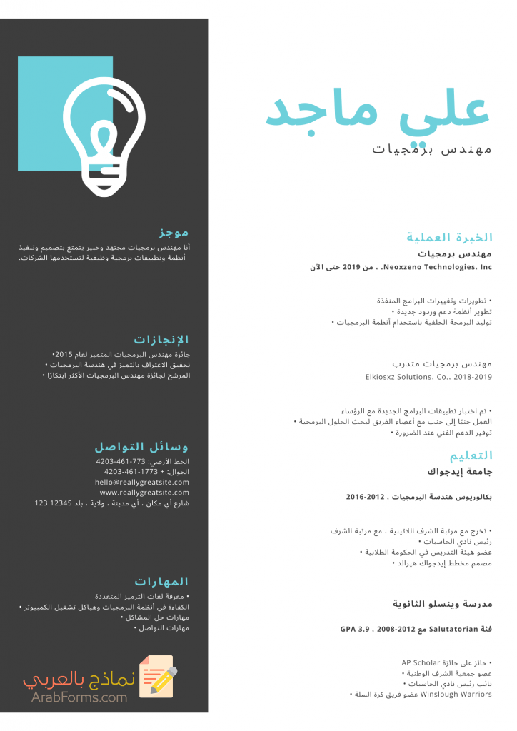 أجمل نماذج سير ذاتية احترافية لعام 2021 2 نموذج سيرة ذاتية فارغ pdf