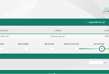 صحيفة دعوى ناجز