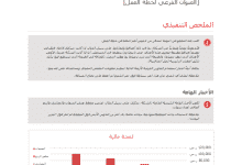نموذج عرض مشروع ناجح