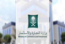 تحويل السجل من فرعي إلى رئيسي لمؤسسة