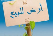 الطريقة الصحيحة لكتابة عقد بيع أرض زراعية 29 الطريقة الصحيحة لكتابة عقد بيع أرض زراعية 5