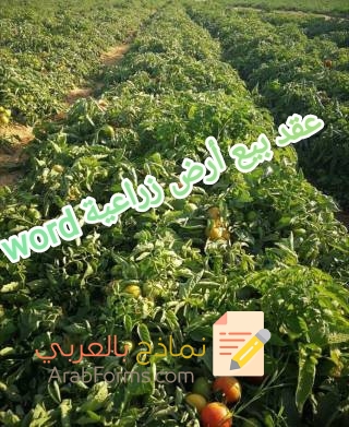 تحميل أحدث صيغة عقد بيع أرض زراعية جاهز للطباعة 3 تحميل أحدث صيغة عقد بيع أرض زراعية جاهز للطباعة 3