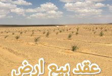 تحميل أقوى صيغة عقد بيع ارض word جاهز للطباعة 5