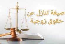 صياغة أقوى نموذج للتنازل عن الحقوق الزوجية 3