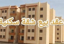 كيفية صياغة عقد بيع شقة سكنية احترافي 2023 22 كيفية صياغة عقد بيع شقة سكنية احترافي 2023 3