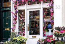 مراحل عمل دراسة جدوى محل ورد خطوة بخطوة 2023 6 دراسة جدوى محل ورد