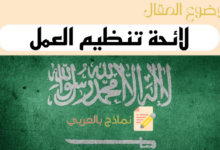 دليل صياغة لائحة تنظيم العمل pdf