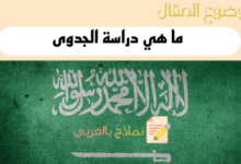 ما هي دراسة الجدوى للشركات