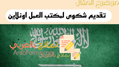 تقديم شكوى لمكتب العمل ضد شركة اون لاين من خلال 4 طرق مختلفة 13 طريقة تقديم شكوى لمكتب العمل اون لاين في السعودية