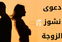 نموذج دعوى نشوز الزوجة وكيفية صياغته 26 دعوى نشوز الزوجة مصغرة