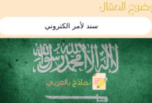 سند لأمر الكتروني