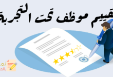 تقييم موظف تحت التجربة مصغرة