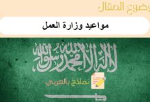 خطوات حجز مواعيد وزارة العمل في المملكة العربية السعودية و6 طرق للتواصل مع مكتب العمل 41 مواعيد وزارة العمل