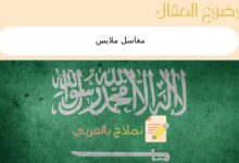 مغاسل ملابس