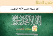 نموذج تقييم الأداء الوظيفي pdf