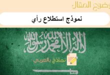 دليل شامل حول نموذج استطلاع رأي: 4 نماذج جاهزة للطباعة 25 نموذج استطلاع رأي